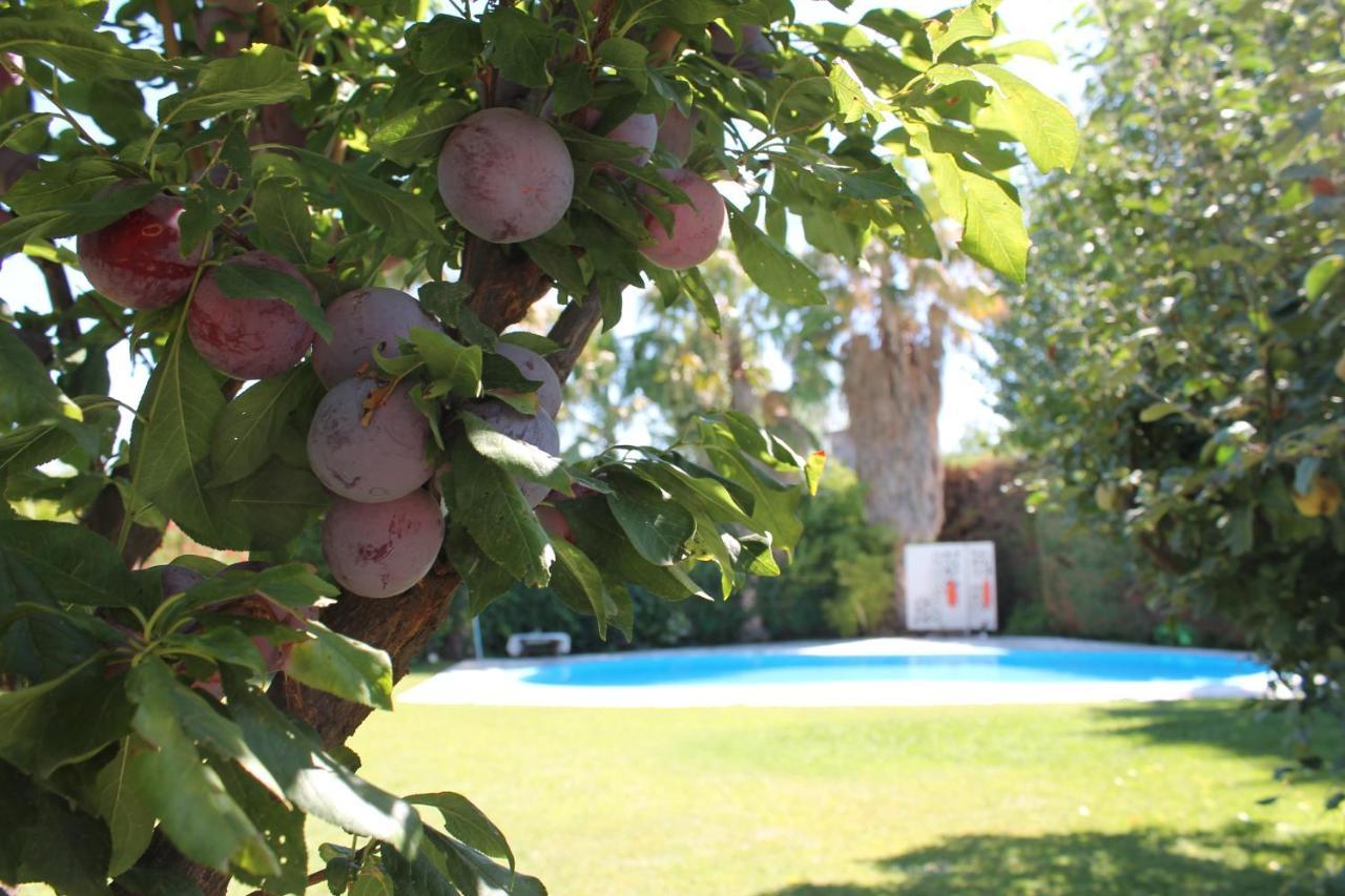 De Los Andes Hotel Boutique Lujan de Cuyo Luaran gambar